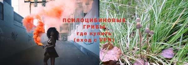 дмт Дмитриев