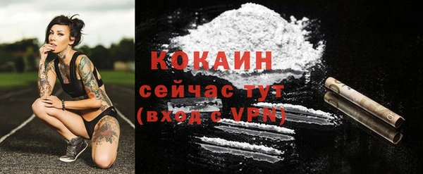 крисы Горняк