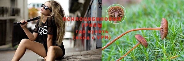 синтетический гашиш Гусь-Хрустальный