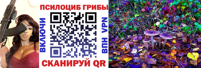 Псилоцибиновые грибы прущие грибы  купить закладку  OMG   Борисоглебск 