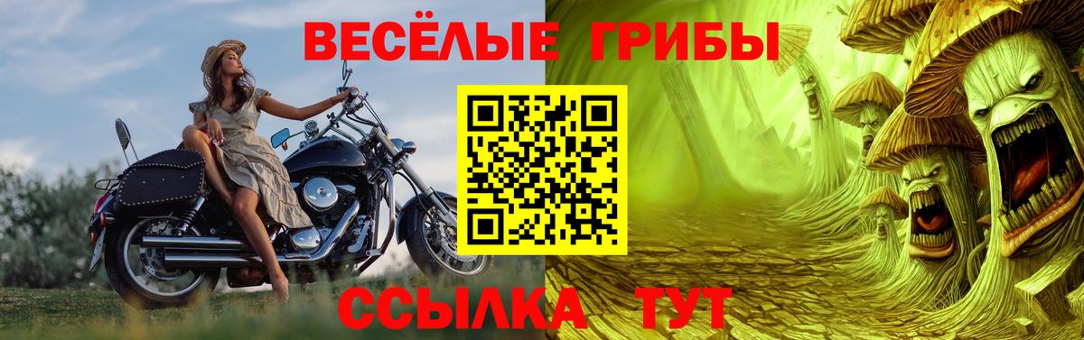 Борисоглебск  Псилоцибиновые грибы прущие грибы  Галлюциногенные грибы мухоморы  Вход с VPN 