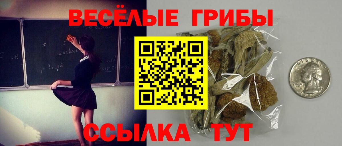 Псилоцибиновые грибы мицелий Борисоглебск